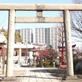 2018/03/17（土）・浅草名所七福神・石濱神社
