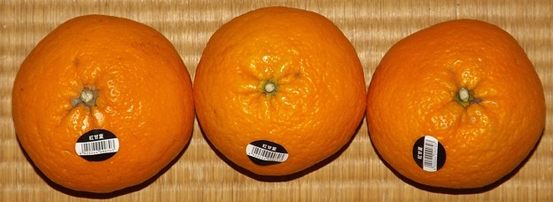 2020/04/17（金）・柑橘の物（ご近所様からの頂き物）
