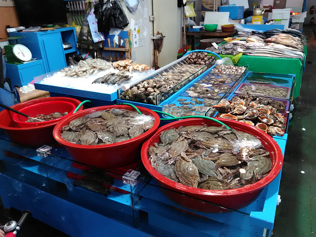 写真: 0526_オイド総合魚市場