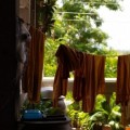写真: laundered robe