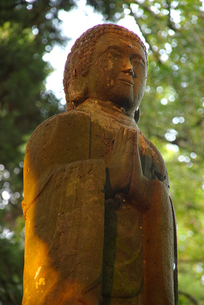 写真: 奈良の大仏