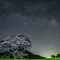 写真: 水目桜と天の川と流星