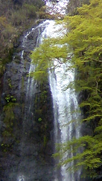 写真: 箕面の滝