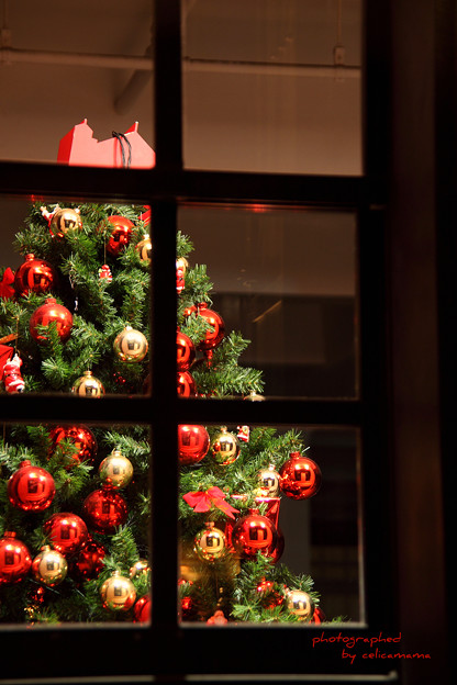 写真: Romantic Yokohama / 窓の中のCristmas　・・・　Night of December　V