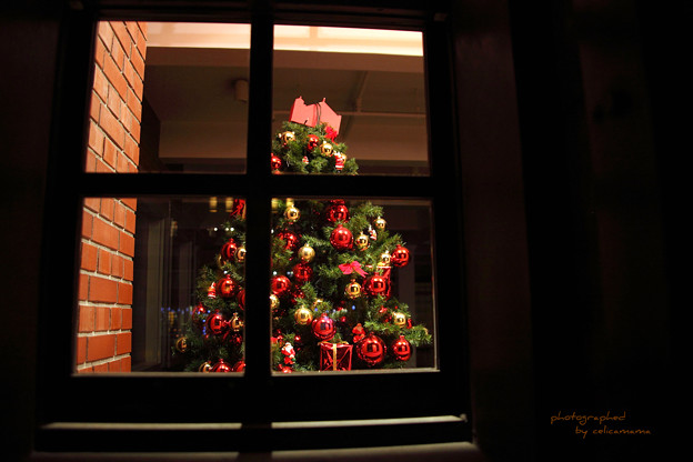 写真: Romantic Yokohama / 窓の中のCristmas　・・・　Night of December　VI