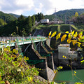 写真: 吉野ダム　三密を避けてダム巡り