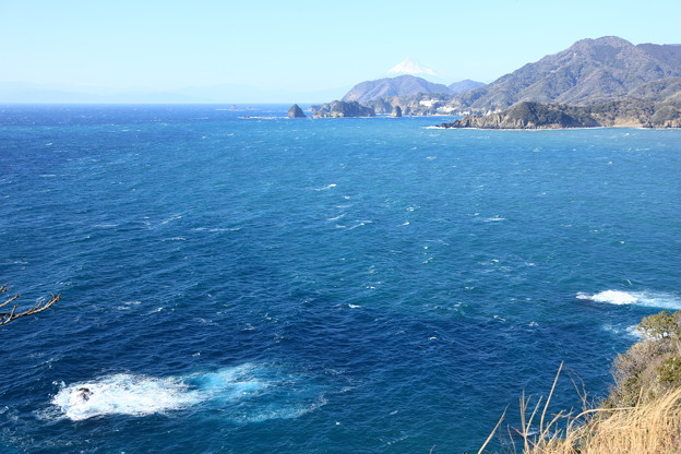 写真: 駿河湾と富士