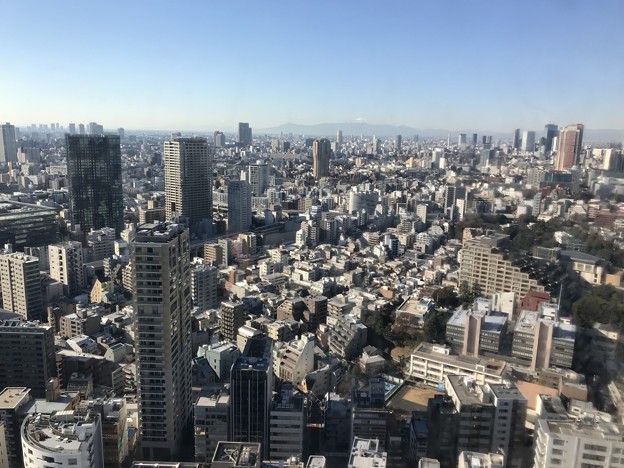 写真: 東京タワー3