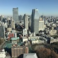写真: 東京タワー4