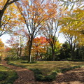 写真: 赤塚植物園