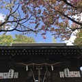 写真: 七社神社