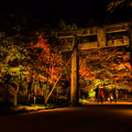写真: 竈門神社ライトアップ♪