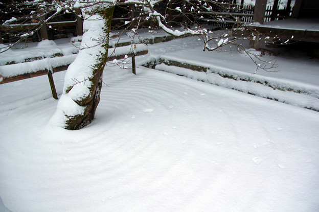 光明禅寺前庭の雪景色♪