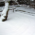 光明禅寺前庭の雪景色♪