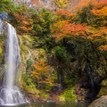 写真: 遊水自然の森カッパ滝♪