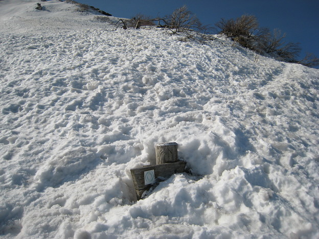 写真: 雪に埋まる標識