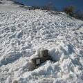 写真: 雪に埋まる標識