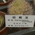 写真: 函館市営熱帯植物園