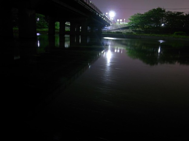 写真: 橋の下　200906-04
