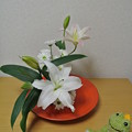 写真: 花ものをいける(白い花)