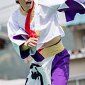 写真: 賤岳春乱舞２０１６　江州大舞隊