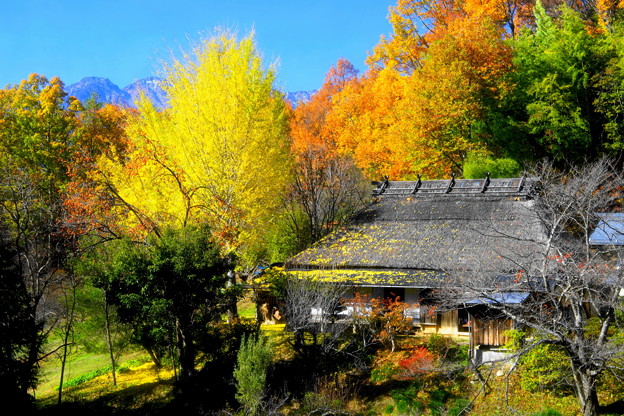 写真: 「紅葉と茅葺きの家」