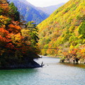 写真: 「梓川渓谷の紅葉」