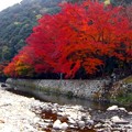 写真: 川と紅葉