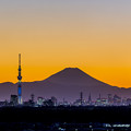 富士山とスカイツリーと東京の街灯り１