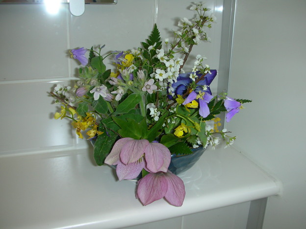 写真: 男性トイレ　の花