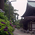 写真: 円覚寺仏殿