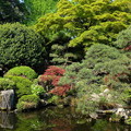 写真: 鑁阿寺の庭園と池