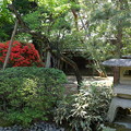 写真: 遠山記念館の庭園