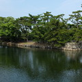 写真: 高松城の堀