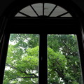 写真: 窓の外の景色