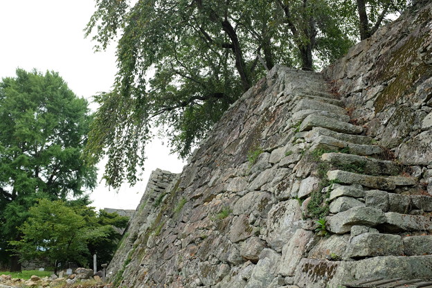 写真: 津山城の石垣と石段