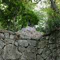 写真: 津山城の石垣と鐘楼