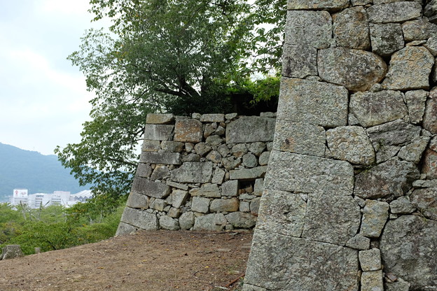 写真: 津山城の石垣