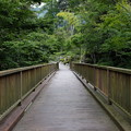 写真: 湯ヶ島温泉の女橋