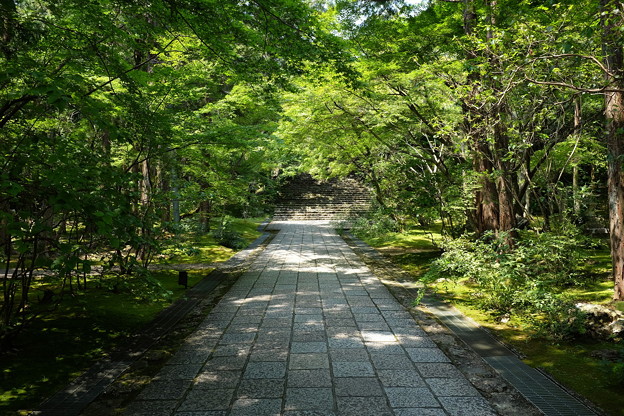 写真: 竹林寺の緑あふれる境内