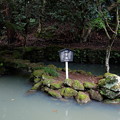 写真: 日本寺の心字池