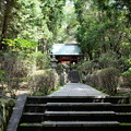 緑あふれる日本寺