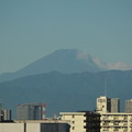 写真: 台風が去って綺麗な富士山