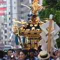 写真: 三社祭　町内神輿