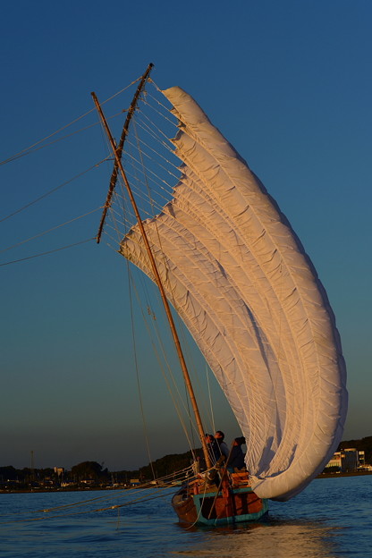 写真: 夕陽を受けた帆引き船