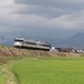 写真: 磐越西線　キハ47