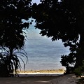 写真: 竹富島　カイジ浜　星の砂