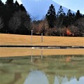 写真: 池の水辺で逆さ富士
