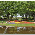 写真: 昭和記念公園