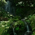 Photos: 251 いしくぼの滝  小木津山自然公園